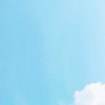 [댓글부탁해] 지금 톡선에 페북스타 왜 난리야