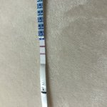 [19] 나 지금 배란기래