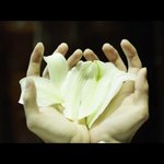 [방탄소년단] 석진이가 <b>백합</b>을 들고 있다는건