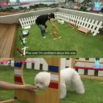 [EXO] 개가 <b>주인</b> 닮는거 ㄹㅇ이다
