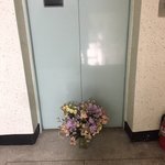 [드루와] 애들아 우리 층 <b>엘베</b>에;;;;;;;;;