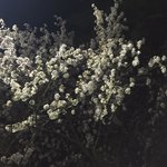 [댓글부탁해] <b>사진</b>빨 <b>안</b> 받는 애들 특징 좀