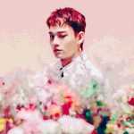 [EXO] 첸백시.쿤셉.<b>오지</b>두노노
