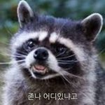 [드루와] 무비스타 노래 존 <b>나좋</b>당