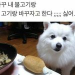 [댓글부탁해] <b>후추</b>스프레이 만들어본사람 레시피좀주라..