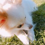 [개깊은빡침] 직장 <b>동료</b> <b>분과</b>의 논쟁