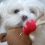 [댓글부탁해] 아니 이거 <b>실수</b>로 보는ㅅㅏ람들 많아?