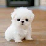 [댓글부탁해] 무쌍 섀도우 <b>음영</b>화장 어떻게발라?