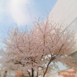 [드루와] 얘둘아 급해 ㅠㅜㅠ