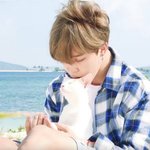 [방탄소년단] 타팬이에요