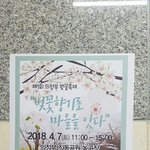 [국내여행] 봄 나들이 의정부 벗꽃 축제