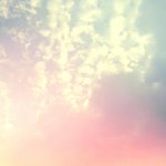 [조언부탁해] 엽기떡볶이 <b>닭발</b> 추천좀