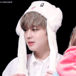 [박지훈] 윙토끼 귀 퐈퐈+