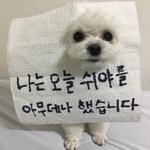 우리학교 규정 조카 <b>프리</b>함