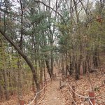 <b>미세</b>먼지와 간만의 산책ㅎ