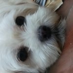 우리 귀염둥이 빈 자리....