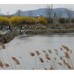 신천지 <b>자원</b>봉사단 포천교회 한내천 정화활동