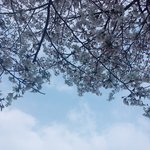 짝남한테 페북친신왔다 헐<b>렐레</b>