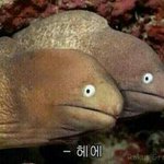 [댓글부탁해] 니네 다들 학교 어디다님? <b>적구</b>가