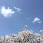 [EXO] <b>HAPPY</b> EXO DAY