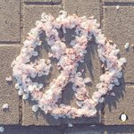 [EXO] 니뽄 엑소엘이 6주년이라고 올린거 <b>보</b><b>셈</b>ㅠㅠㅠㅠ
