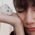 [방탄소년단] 오늘은 <b>전반적</b>으로 분위기가 안좋아서 못했다.