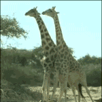 팔꿈치 <b>착색</b> 어떡함???ㅈㅂㅈㅂ