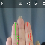 [꼭조언부탁] <b>검지</b> 약지 길이로 성별구분?