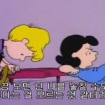 [댓글부탁해] 애니 공감되는 말 짤<b>모음</b>