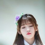너네 하복<b>와이</b>셔츠 사이즈 몇임??