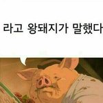 [<b>나연</b>채널] 돼지