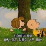 [댓글부탁해] <b>재업</b>)얘들아 이거 개꿈맞제