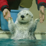 [드루와] 나 SM사내 <b>망</b><b>붕</b>임...ㅠㅠ