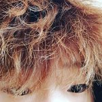 [드루와] 오늘 하복에 <b>양털</b> 후집 갸오바여?
