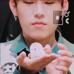 [박우진] <b>참새</b> 소듕히 여기는 인간<b>참새</b>