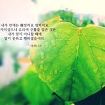 [사랑의 편지] 신천지예수교회 VS 한기총, 무엇이 다를까요?