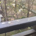 [드루와] (추가) 우리 할<b>모니</b> 넘 깜찍하시지않냐ㅜㅜ