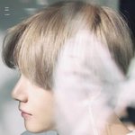 <b>아이돌이</b> 자연광을 받으면