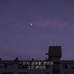 [댓글부탁해] 너희들 인생 <b>섀도우</b> 팔레트 뭐야