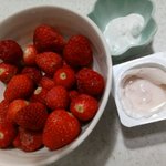 [댓글부탁해] 딸기는 역시 찍먹아님??