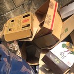 [댓글부탁해] 개냥이 <b>집사</b>님 찾아요ㅜㅜ