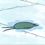 [조언부탁해] 수련회때 반애들이랑 장기자랑 나가기로했는데 살려주셈