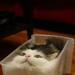 중3인데 애들 다 작년 <b>무리</b>랑 급식먹음ㅋㅋ