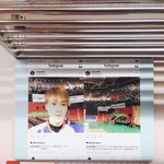 [EXO] 슈썸이 진짜 <b>정성</b> 쏟아 구상한 티가 난게