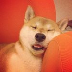난 늘 이렇게 <b>자요</b>