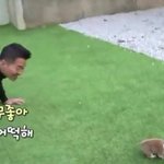 [EXO] 밑에 강아지따라하는