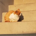 너희 판<b>밍</b><b>아웃</b>함?