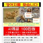 도와주세요. 저희 개가 이웃에게 처참히 죽임을 당했습니다.