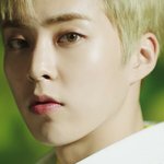 [EXO] 시우민 <b>미모</b> 미쳤음