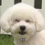 [EXO] 김종대포카조명왜<b>저럼</b>?